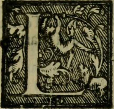 An illustration from Venetia, citta nobilissima et singolare, 1581, leaf 120