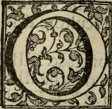 An illustration from Venetia, citta nobilissima et singolare, 1581, leaf 141