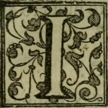 An illustration from Venetia, citta nobilissima et singolare, 1581, leaf 160