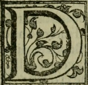An illustration from Venetia, citta nobilissima et singolare, 1581, leaf 212