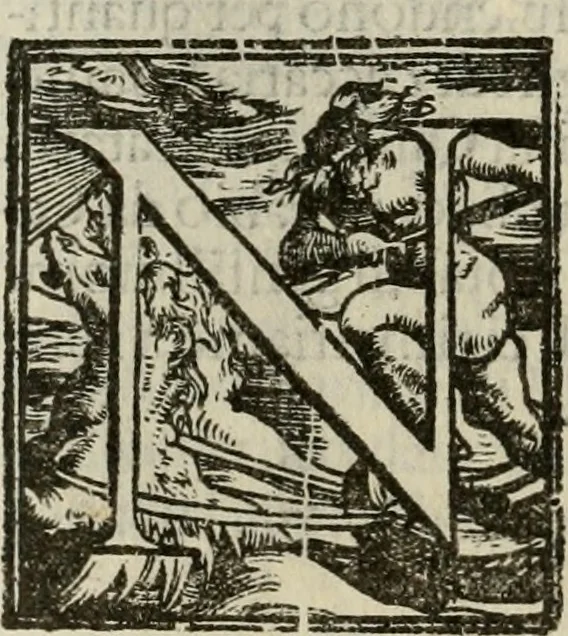 An illustration from Venetia, citta nobilissima et singolare, 1581, leaf 293