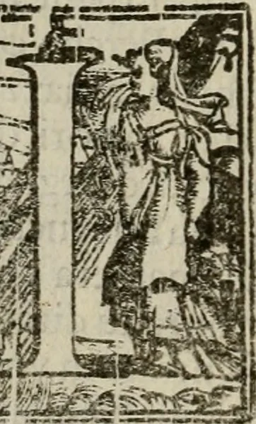 An illustration from Venetia, citta nobilissima et singolare, 1581, leaf 307