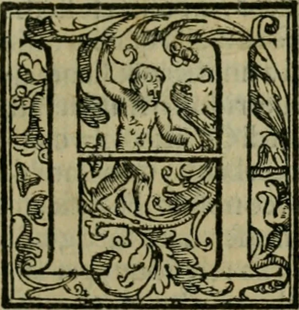 An illustration from Venetia, citta nobilissima et singolare, 1581, leaf 362