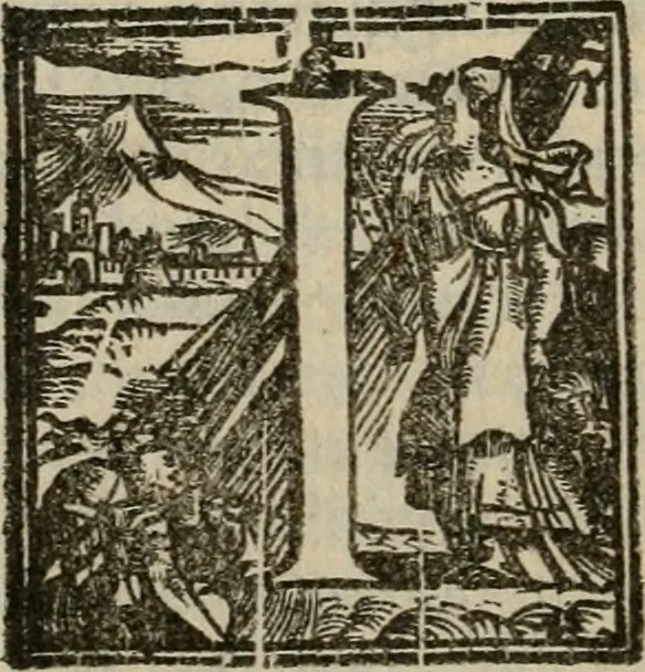 An illustration from Venetia, citta nobilissima et singolare, 1581, leaf 401