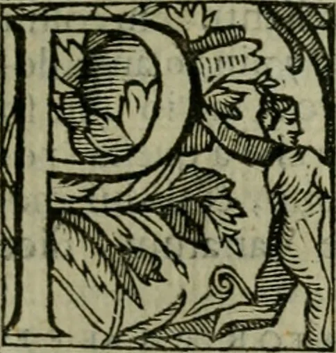 An illustration from Venetia, citta nobilissima et singolare, 1581, leaf 428