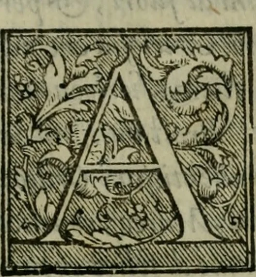 An illustration from Venetia, citta nobilissima et singolare, 1581, leaf 6