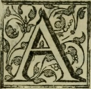 An illustration from Venetia, citta nobilissima et singolare, 1581, leaf 644