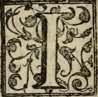 An illustration from Venetia, citta nobilissima et singolare, 1581, leaf 73