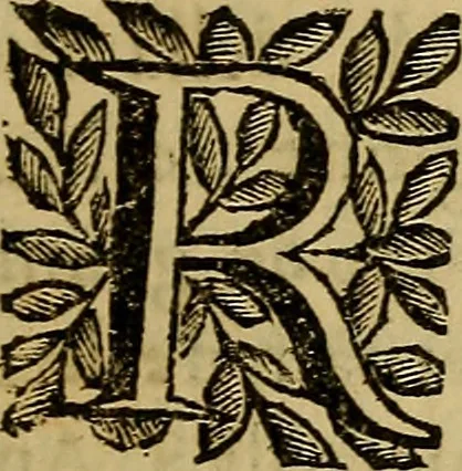 An illustration from Venetia, città nobilissima, et singolare : descritta in XIIII. libri, 1663, leaf 10