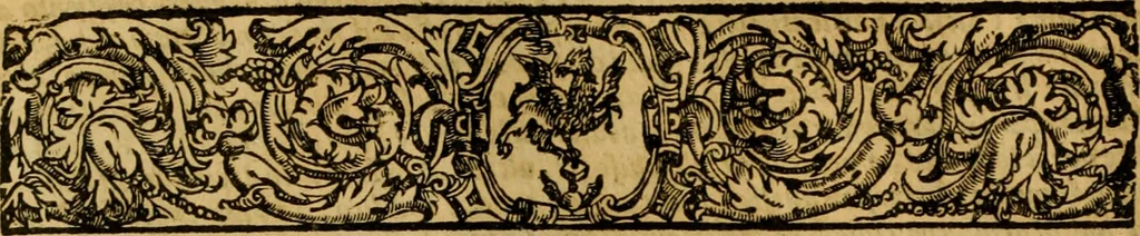 An illustration from Venetia, città nobilissima, et singolare : descritta in XIIII. libri, 1663, leaf 113