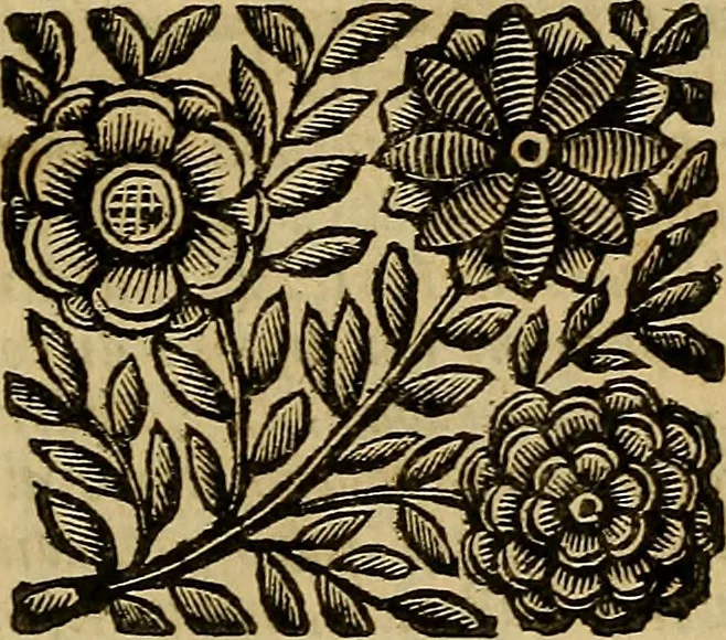 An illustration from Venetia, città nobilissima, et singolare : descritta in XIIII. libri, 1663, leaf 16