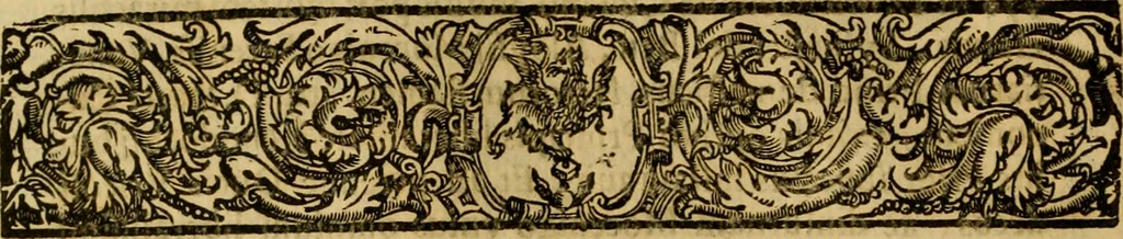 An illustration from Venetia, città nobilissima, et singolare : descritta in XIIII. libri, 1663, leaf 161