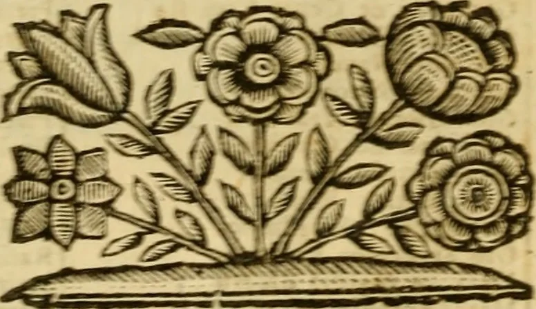 An illustration from Venetia, città nobilissima, et singolare : descritta in XIIII. libri, 1663, leaf 19