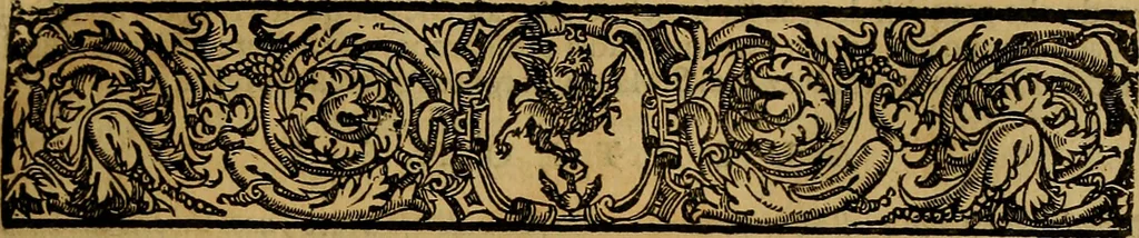 An illustration from Venetia, città nobilissima, et singolare : descritta in XIIII. libri, 1663, leaf 202