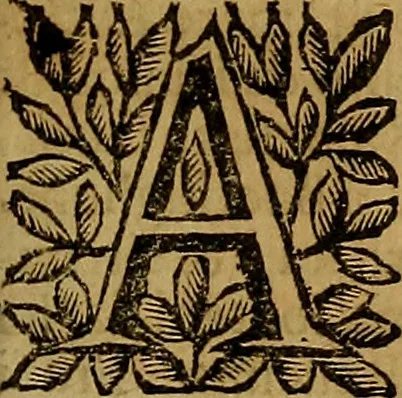 An illustration from Venetia, città nobilissima, et singolare : descritta in XIIII. libri, 1663, leaf 22