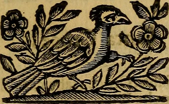 An illustration from Venetia, città nobilissima, et singolare : descritta in XIIII. libri, 1663, leaf 220