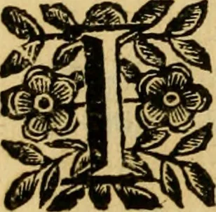 An illustration from Venetia, città nobilissima, et singolare : descritta in XIIII. libri, 1663, leaf 221