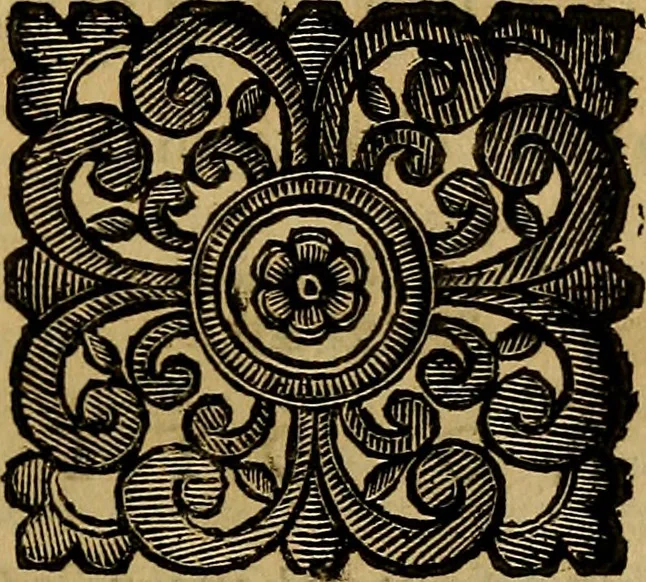 An illustration from Venetia, città nobilissima, et singolare : descritta in XIIII. libri, 1663, leaf 312