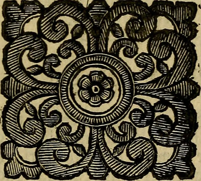 An illustration from Venetia, città nobilissima, et singolare : descritta in XIIII. libri, 1663, leaf 418