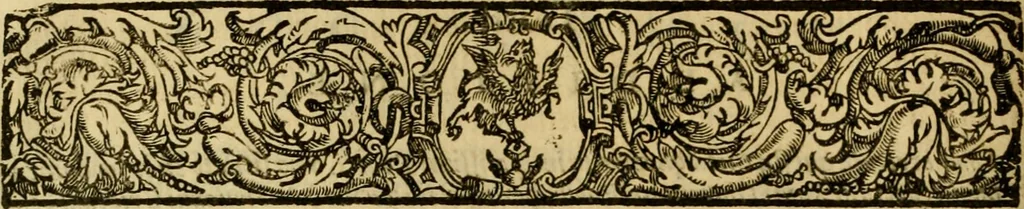 An illustration from Venetia, città nobilissima, et singolare : descritta in XIIII. libri, 1663, leaf 419