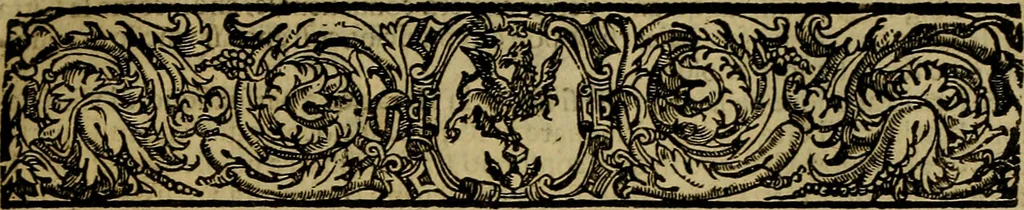 An illustration from Venetia, città nobilissima, et singolare : descritta in XIIII. libri, 1663, leaf 488