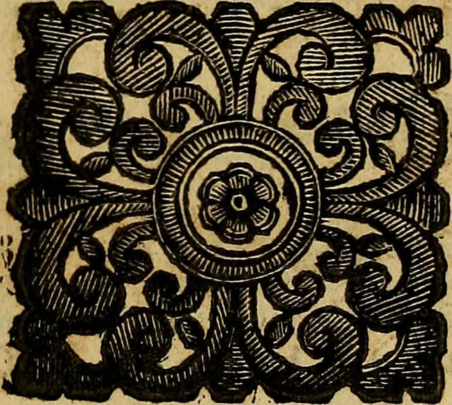 An illustration from Venetia, città nobilissima, et singolare : descritta in XIIII. libri, 1663, leaf 512