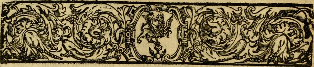 An illustration from Venetia, città nobilissima, et singolare : descritta in XIIII. libri, 1663, leaf 513