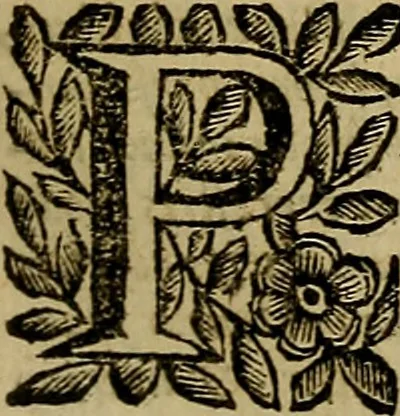 An illustration from Venetia, città nobilissima, et singolare : descritta in XIIII. libri, 1663, leaf 548