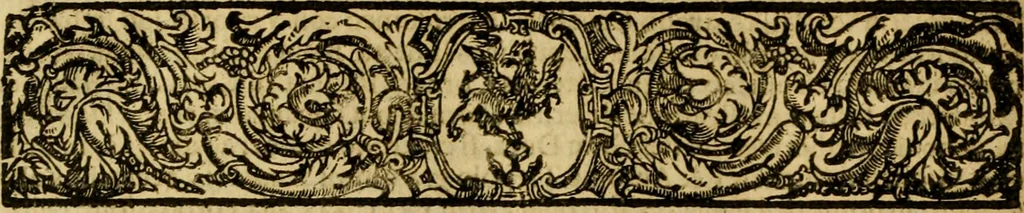 An illustration from Venetia, città nobilissima, et singolare : descritta in XIIII. libri, 1663, leaf 641