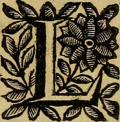 An illustration from Venetia, città nobilissima, et singolare : descritta in XIIII. libri, 1663, leaf 874