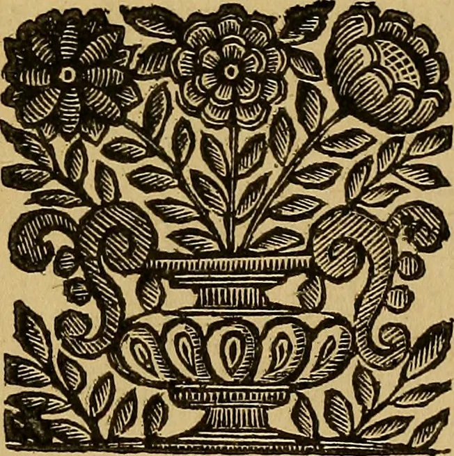 An illustration from Venetia, città nobilissima, et singolare : descritta in XIIII. libri, 1663, leaf 966