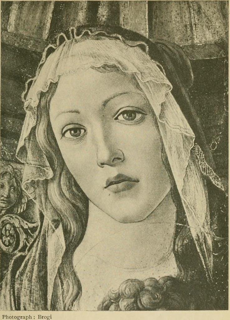 An illustration from Venice, 1912, leaf 252
