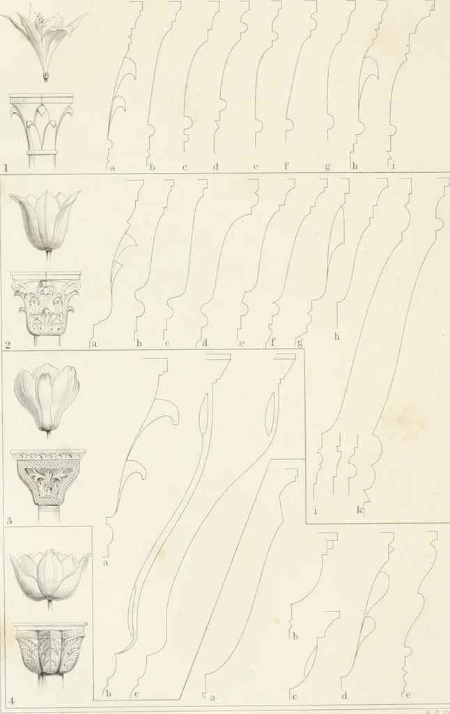 An illustration from The stones of Venice, 1851, leaf 167