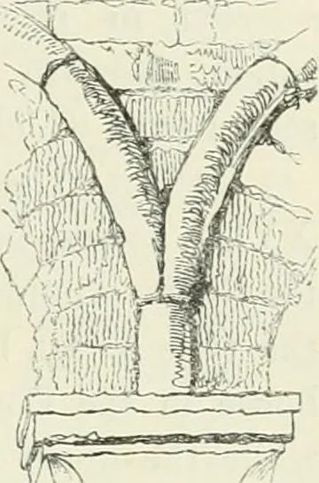 An illustration from The stones of Venice, 1851, leaf 302