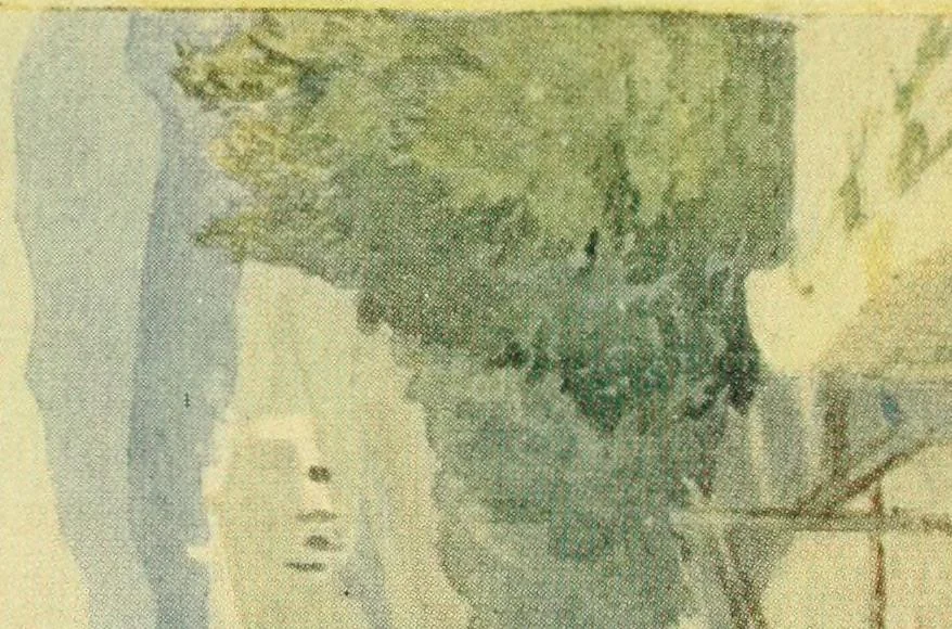 An illustration from Venice and Venetia, 1911, leaf 352
