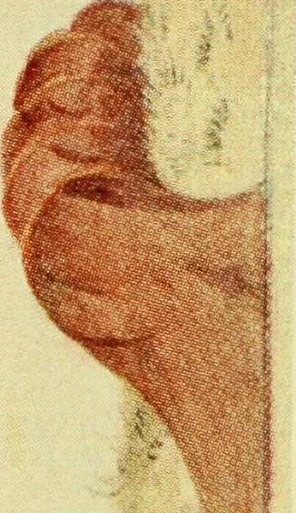 An illustration from Venice and Venetia, 1911, leaf 36