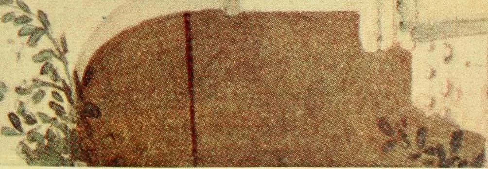 An illustration from Venice and Venetia, 1911, leaf 374