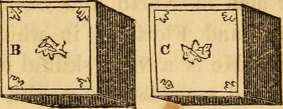 An illustration from Ventriloquism made easy, also, an exposure of magic, and the second sight mystery, 1860, leaf 34