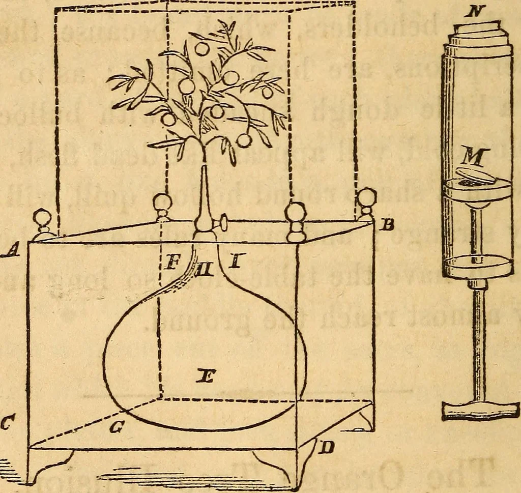 An illustration from Ventriloquism made easy, also, an exposure of magic, and the second sight mystery, 1860, leaf 41