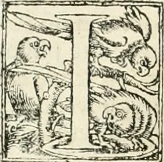 An illustration from Verae alchemiae artis'qve metallicae citra aenigmata, doctrina, certvs'qve modus, scriptis tum nouis tum ueteribus nunc primùm & fideliter maiori ex parte editis, comprehensus : quorum elenchum à praefatione reperies, 1561, leaf 131