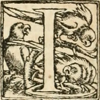 An illustration from Verae alchemiae artis'qve metallicae citra aenigmata, doctrina, certvs'qve modus, scriptis tum nouis tum ueteribus nunc primùm & fideliter maiori ex parte editis, comprehensus : quorum elenchum à praefatione reperies, 1561, leaf 241