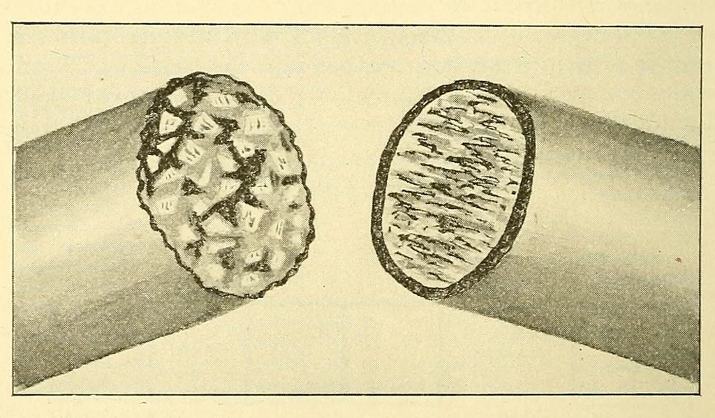 An illustration from Verbatim report of the ... Annual Meeting of the American Street-Railway Association, 1884, leaf 228