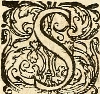 An illustration from Verclaringe ende verhael hoe de Heere Wouter Raleighe, Ridder, hem ghedreghen heeft, soo wel in sijne voyaghe al in ende sedert sijne wedercomste : ... naer de coppe tot London, by Bonham Norton, 1619, leaf 33