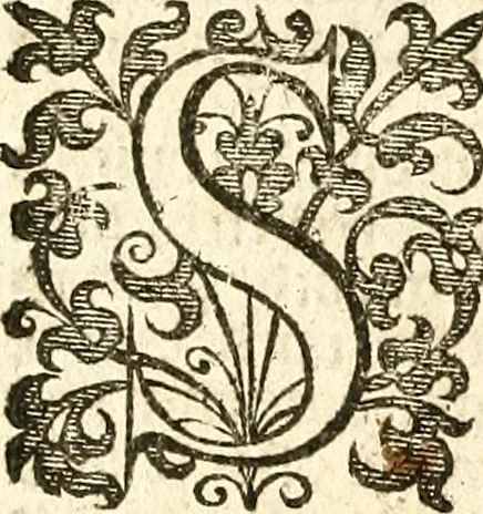 An illustration from Verclaringe ende verhael hoe de Heere Wouter Raleighe, Ridder, hem ghedreghen heeft, soo wel in sijne voyaghe al in ende sedert sijne wedercomste : ... naer de coppe tot London, by Bonham Norton, 1619, leaf 39