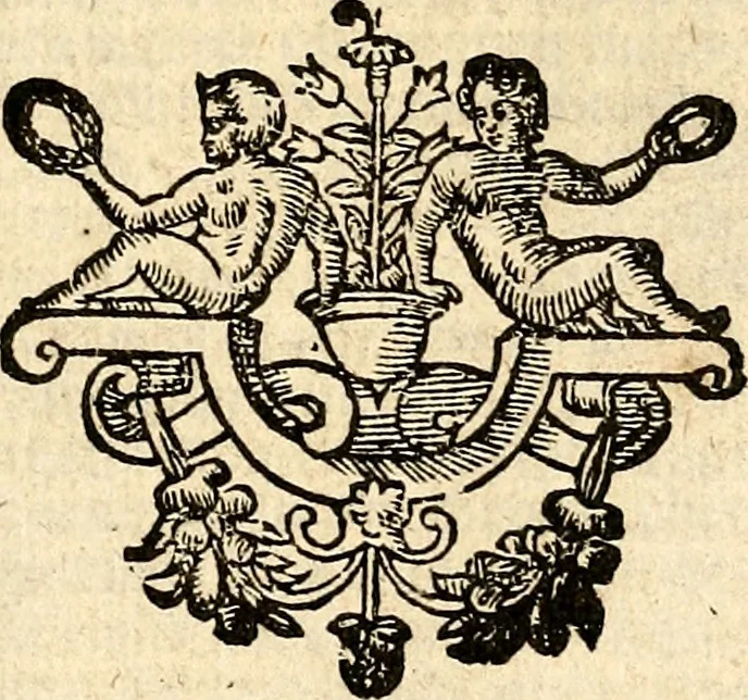 An illustration from Verclaringe ende verhael hoe de Heere Wouter Raleighe, Ridder, hem ghedreghen heeft, soo wel in sijne voyaghe al in ende sedert sijne wedercomste : ... naer de coppe tot London, by Bonham Norton, 1619, leaf 6
