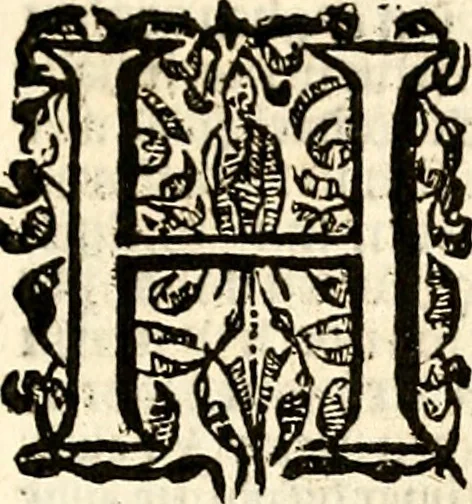 An illustration from Verclaringe ende verhael hoe de Heere Wouter Raleighe, Ridder, hem ghedreghen heeft, soo wel in sijne voyaghe al in ende sedert sijne wedercomste : ... naer de coppe tot London, by Bonham Norton, 1619, leaf 8