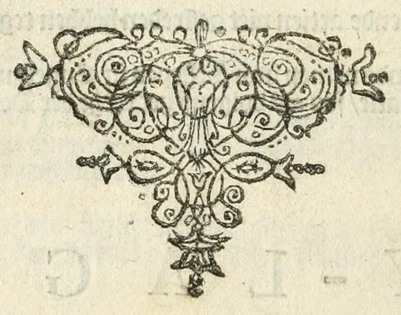 An illustration from Verdere aenteyckeninge of duplyque, op seeckere replyque vanden Heer George Downing, extraordinaris envoyé vanden koningh van Groot Brittagne, jegens de remarques vande gedeputeerden vande hoog. mog. heeren Staten generael der Vereenig de Nederlanden: ingestelt op des selfs ingediende Memorie vanden 30 December 1664, 1666, leaf 174