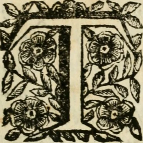 An illustration from Veridico racconto dell' origine, progressi e miracoli della Madonna di Reggio : con la descrittione d'alcune solennità, e del tempio : dichiarandosi le di lui pitture e sculture, e nominandosi gl' autori di quelle, 1666, leaf 10