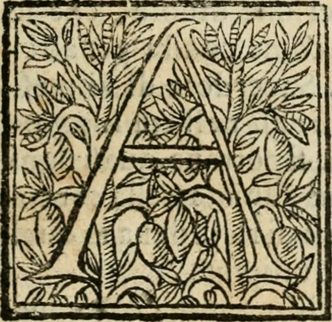An illustration from Veridico racconto dell' origine, progressi e miracoli della Madonna di Reggio : con la descrittione d'alcune solennità, e del tempio : dichiarandosi le di lui pitture e sculture, e nominandosi gl' autori di quelle, 1666, leaf 14