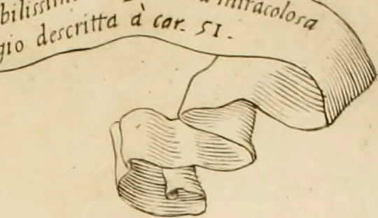 An illustration from Veridico racconto dell' origine, progressi e miracoli della Madonna di Reggio : con la descrittione d'alcune solennità, e del tempio : dichiarandosi le di lui pitture e sculture, e nominandosi gl' autori di quelle, 1666, leaf 175